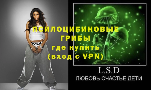 дживик Козловка