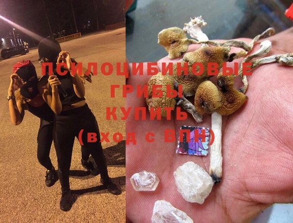MESCALINE Козельск