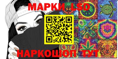 гидра Можга