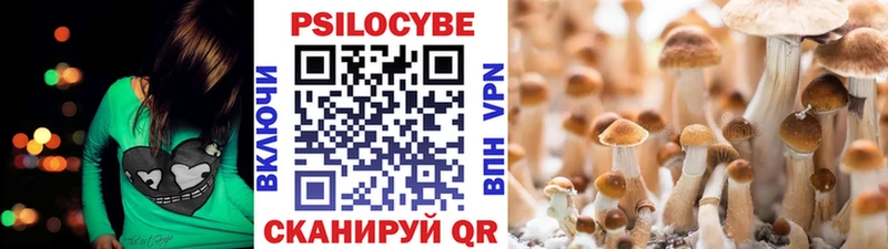 Галлюциногенные грибы прущие грибы Тамбов