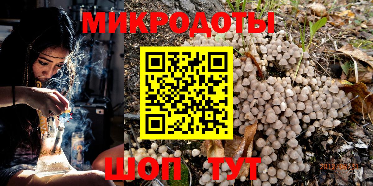Галлюциногенные грибы Psilocybine cubensis Тамбов