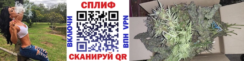 закладка  Тамбов  МАРИХУАНА семена 