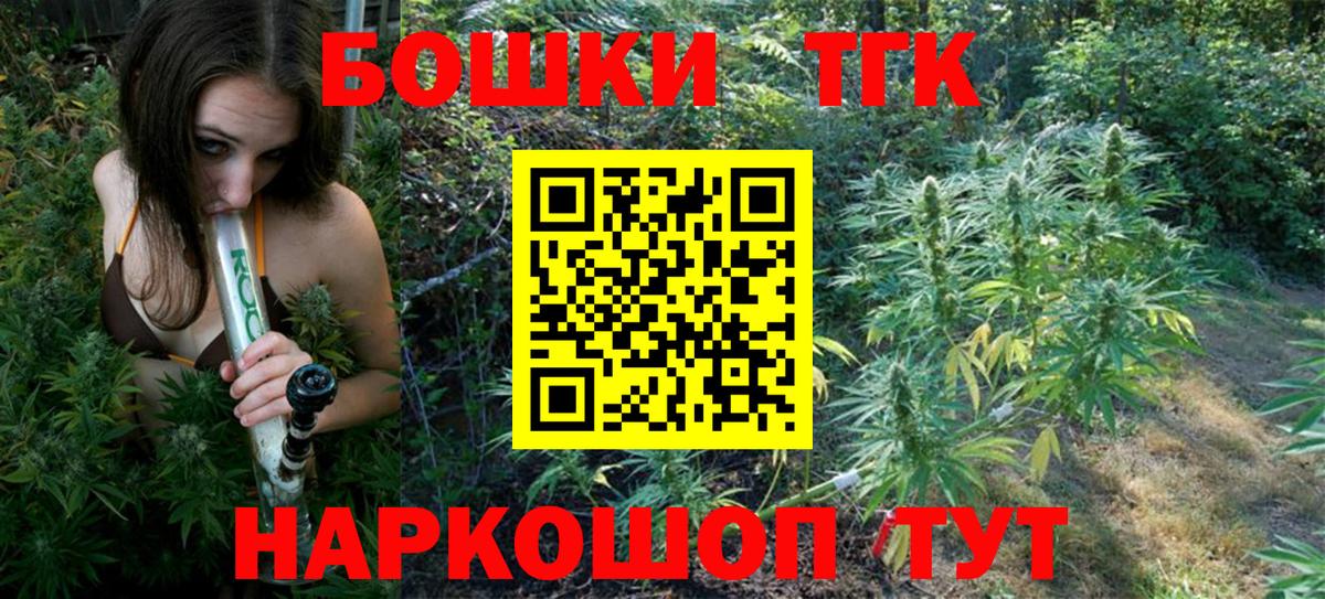 Бошки Шишки гибрид Тамбов